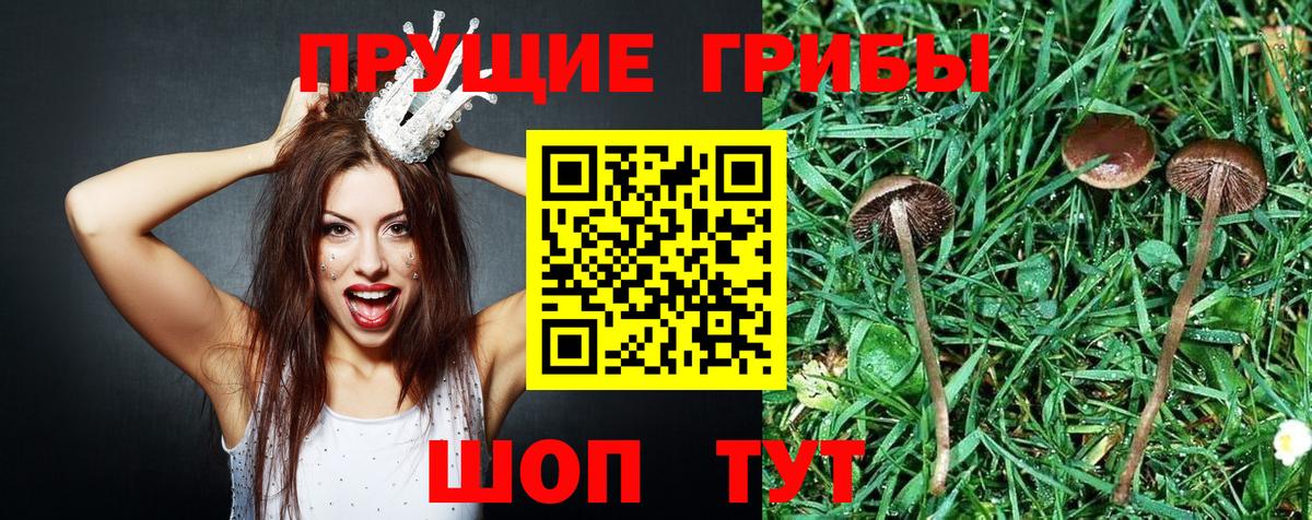 Галлюциногенные грибы ЛСД Черемхово