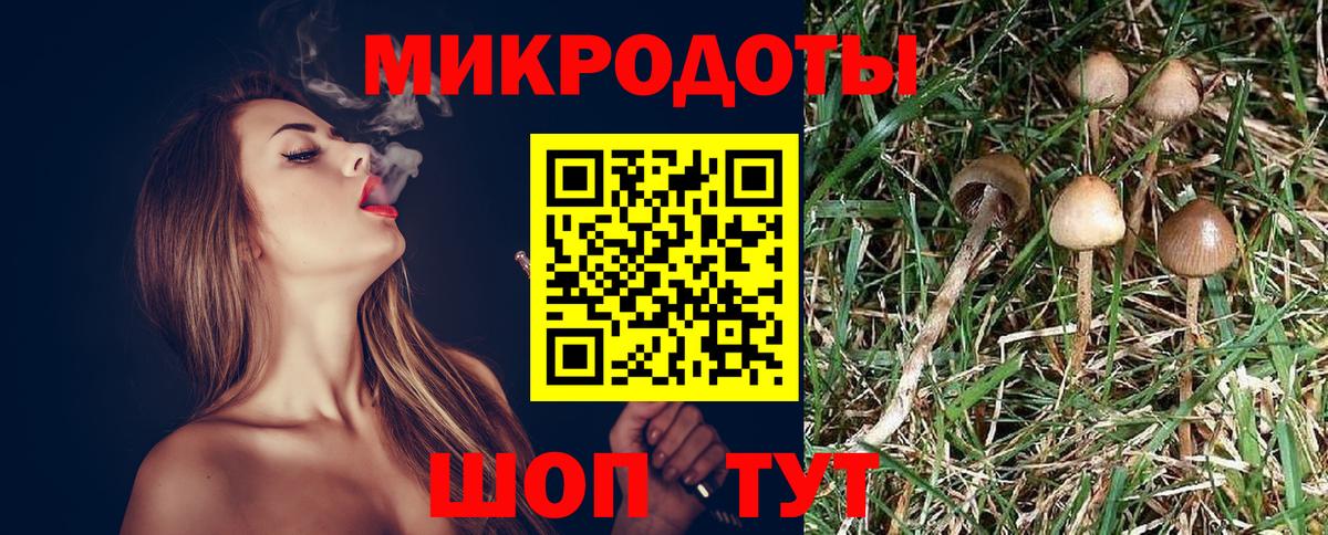 Псилоцибиновые грибы прущие грибы  Вход с VPN  Черемхово 